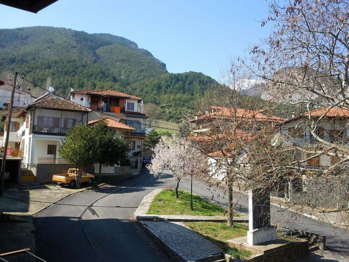 Apartment With View At Olympus Mountain Литохоро Экстерьер фото